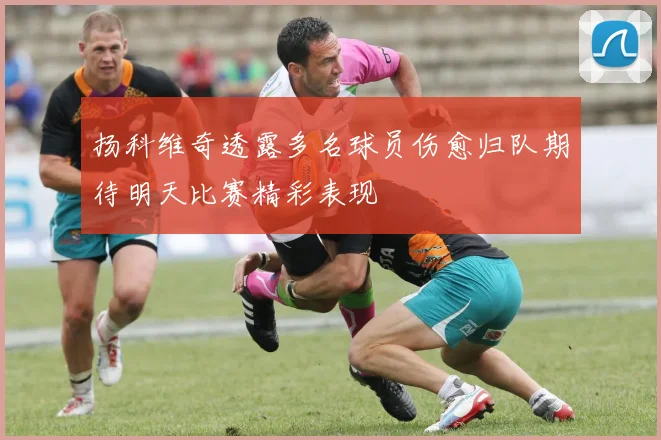 扬科维奇透露多名球员伤愈归队期待明天比赛精彩表现