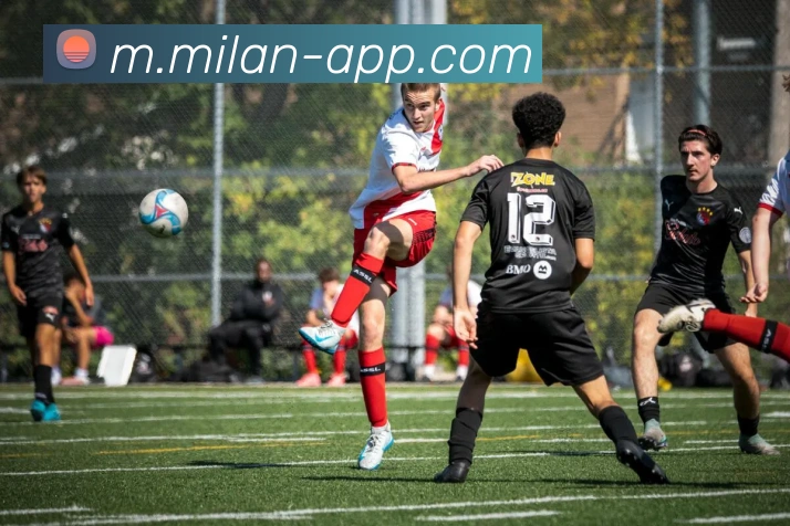 米兰体育平台生态图