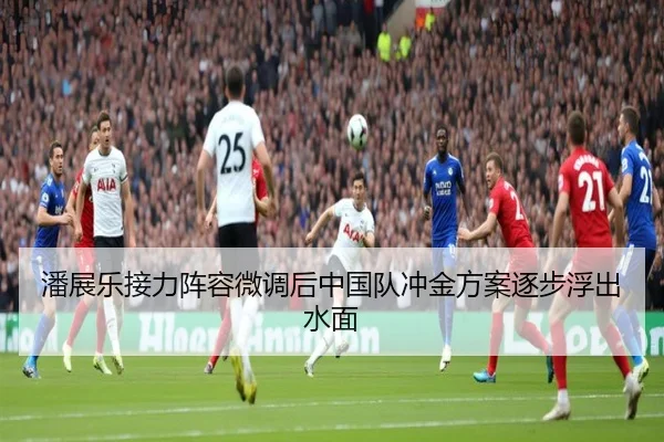 潘展乐接力阵容微调后中国队冲金方案逐步浮出水面 - milan